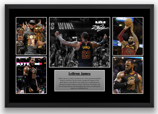 LeBron James Cleveland Cavaliers Poster